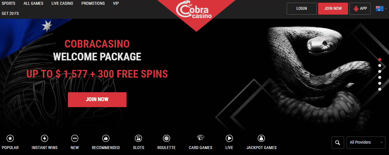 Cobra Casino Screenshot